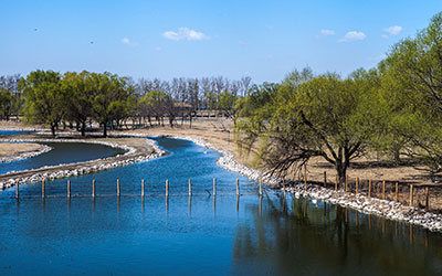 nanhaizigongyuan.jpg