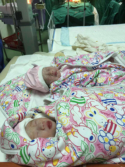 5485674197069663625.jpg 5485674197069663625.jpg