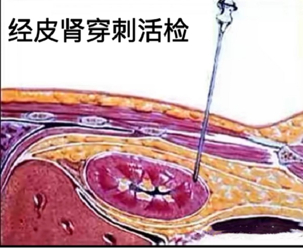 微信图片_20220608082717.jpg