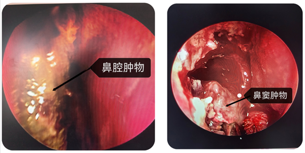 微信图片_20240412171230.png 微信图片_20240412171230.png