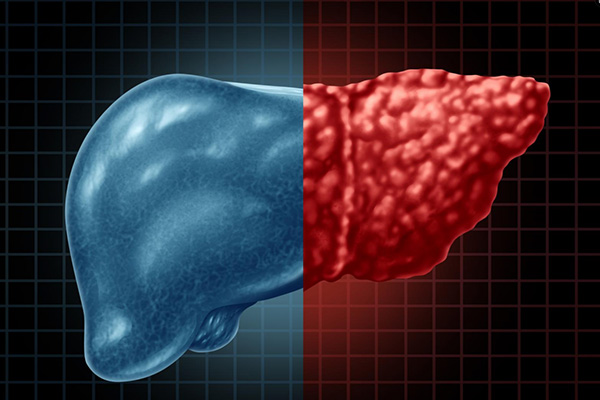 DM_20251210114748_001.jpg DM_20251210114748_001.jpg